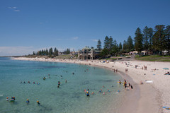 Visit Cottesloe Beach on this half day tour with ADAMS Perth and Sightseeing Pass Australia.  Book online today for instant confirmation and the best rates!