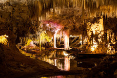 Explore Lake Cave in Margaret River.  Purchase your tickets online through Sightseeing Pass Australia today!