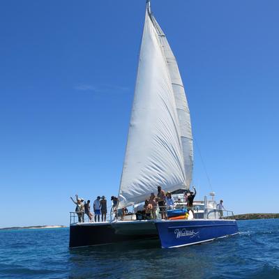 Ningaloo Discovery Tours Enjoy a day out on a luxury Sailing Catamaran in Exmouth Western Australia