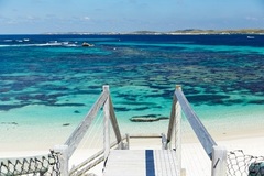 Explore the pristine beaches of Rottnest Island.  Book your ferry today with Sightseeing Pass Australia online and receive instant confirmation!