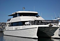 Our vessel is the largest and most luxurious Whale Watching vessel in Western Australia.