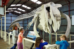Visit Albany Historic Whaling Station with Sightseeing Pass