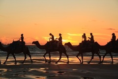 Sunset Camel Rides on Broome's Cable Beach can be booked with Sightseeing Pass Australia.