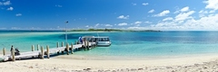 Stunning beaches of Shoalwater Rockingham overlooking Penguin Island.  Book a cruise today with Sightseeing Pass Australia