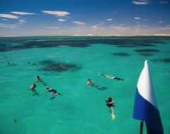 Stunning waters and hundreds of tropical fish can be seen when you join one of our Ningaloo Reef snorkelling tours