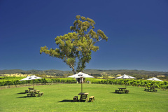 Let Sightseeing Pass South Australia you tour to the Adelaide Hills