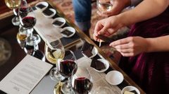Chocolate & Wine Matching Tour at Elderton Wines in the Barossa Valley South Australia.  Book ahead before you arrive.  Visit Sightseeing Pass Australia online for details.