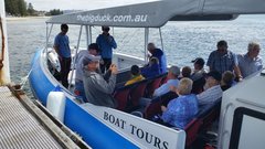 Jump on this tour to Seal Island in South Australia.  Book online with Sightseeing Pass Australia.
