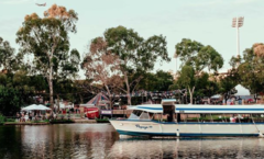 Cruise the beautiful River Torrens with Popeye River Cruises.  Book with us today!