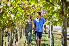 Discover the best of the Swan Valley with one of the best wine tours in Perth