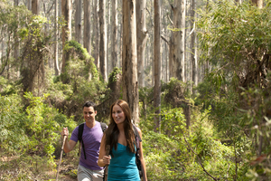 Margaret River Tour Looking for things to do in Margaret River? Spend the day on a cape to cape tour to experience the best of the Margaret River region.