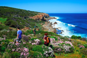 Margaret River Tours This pass is perfect for the adventurer who wants to experience the outdoors while in Margaret River.