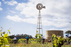 Ride your way between the Margaret River wineries on an electric bike!  Tours can be booked today with Sightseeing Pass Australia