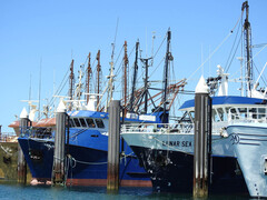 Port Lincoln Harbour, 1-Day Port Lincoln Tour, South Australia, Untamed Escapes, Sightseeing Pass Australia