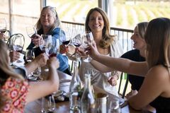 Gemtree Wine Tasting,1-Day Yoga & Wine Retreat, McLaren Vale, South Australia, Untamed Escapes, Sightseeing Pass Australia