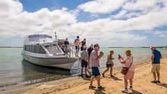 Coorong Discovery Cruise, South Australia | Sightseeing Pass Australia 