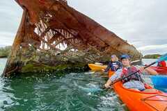 Dolphin Sanctuary Guided Eco Kayak Tour Adelaide, South Australia.  Book online for instant confirmation today with Sightseeing Pass Australia.