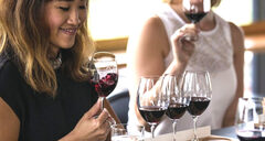 D'Arenberg Winery - The Dead Arm Distinction Vertical Wine Flight.  Bookings are encouraged.  Visit Sightseeing Pass Australia today to secure your experience in South Australia.