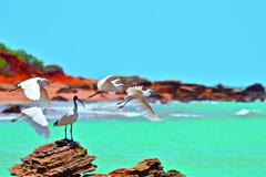 Roebuck Bay Cruise with Sunset Tapas & Cocktails in Broome.  Book online today with Sightseeing Pass Australia.