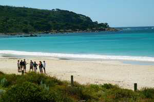 Beach on the Northern Highlights Margaret River Tour Explore the coastline of Margaret River with a cape to cape tour.