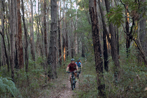 Mountain Bike, Margaret River Mountain biking through the forests of Margaret River is one of the best Western Australian experiences for adventurous travellers