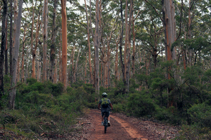 Mountain Bike, Margaret River Mountain biking through the forests of Margaret River is one of the best Western Australian experiences for adventurous travellers