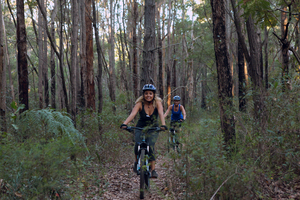 Mountain Bike, Margaret River Mountain biking through the forests of Margaret River is one of the best Western Australian experiences for adventurous travellers