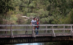 Margaret River Cape to Cape Tour Explore the best of Margaret River with a winery tour for food lovers.