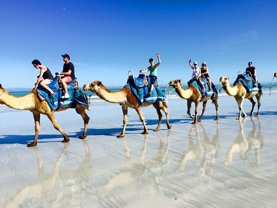 Broome Camel Ride Broome Camel Ride