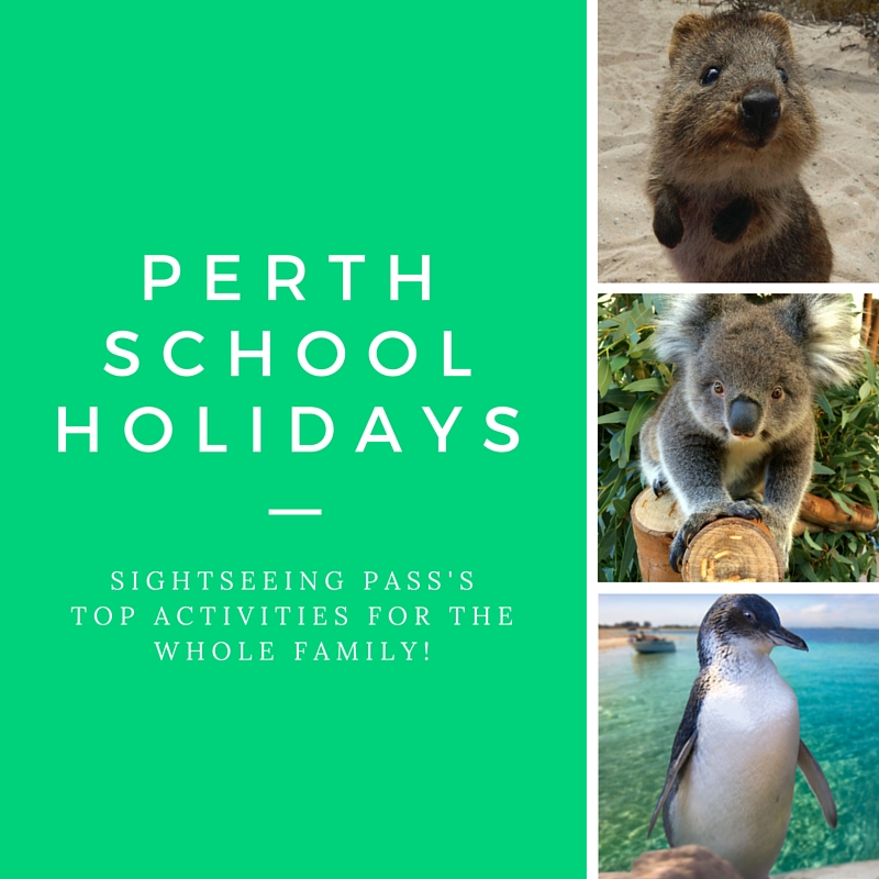 Fun Things To Do School Holidays Perth