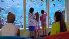 A favourite family activity is to visit AQWA at Hillarys Boat Harbour.