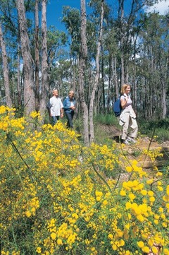There are more than 12,000 species of wildflowers in WA, making it the world's largest collection