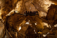 Book a single entry to Mammoth Cave with Sightseeing Pass