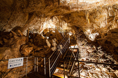 Mammoth Cave in Margaret River is one of the best attractions in the region.  Purchase your entry ticket online today with Sightseeing Pass Australia.