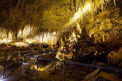 Discover the stunning Jewel Cave in Margaret River.  Book before you arrive online with local WA agent Sightseeing Pass Australia.