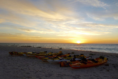 Exmouth Adventure Co Book a 4 day reef and beach tour with sightseeing pass Australia.