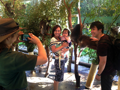 Explore Tours Enjoy a day our at Penguin Island and Caversham Wildlife Park