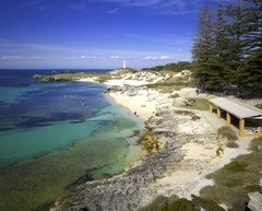 Visit the beautiful beaches of Rottnest Island, Perth with Sightseeing Pass Australia and Rottnest Fast Ferries