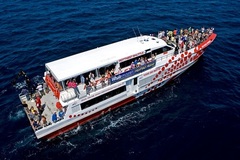 Humpback whales migrate to Perth seasonally. Join a whale watching tour to see them
