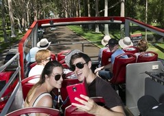Relax and enjoy the view of the Perth CBD on the hop on hop off bus with Perth Explorer and Sightseeing Pass Australia