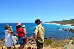 Panoramic views of the picturesque South West coastline and beaches.  See it all on this tour.  Book online with Sightseeing Pass Australia.