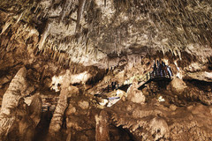 Explore Ngilgi Cave in Margaret River. Book a spot on this Ngilgi Cave tour today with Sightseeing Pass Australia