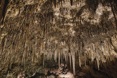 Ngilgi Cave is steeped in Aboriginal history.  Book a spot on this Ngilgi Cave tour today with Sightseeing Pass Australia