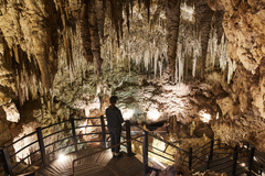 Spend an afternoon exploring Ngilgi Cave. Book a spot on this Ngilgi Cave tour today with Sightseeing Pass Australia