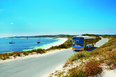 Sit back and relax on a guided coach tour of Rottnest Island.  Book with Sightseeing Pass Australia for the best price.