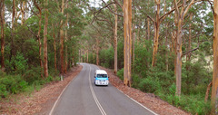 Exploring the Great Southern Region with Busy Blue Bus Tours
