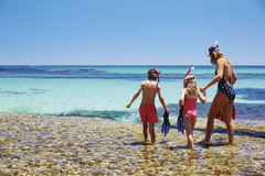 Book a trip to Rottnest Island this spring and take the kids