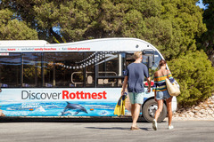 See Rottnest Island by coach tour Rottnest Island | Sightseeing Pass Australia