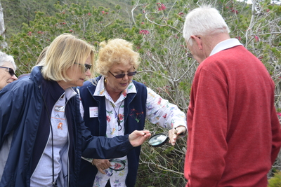 Southwest Wildflower Tours Wildflower season is a popular tour option when visiting Western Australia