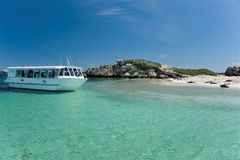 Cruise to stunning Penguin Island can be booked through Sightseeing Pass Australia